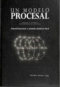 Un modelo procesal.